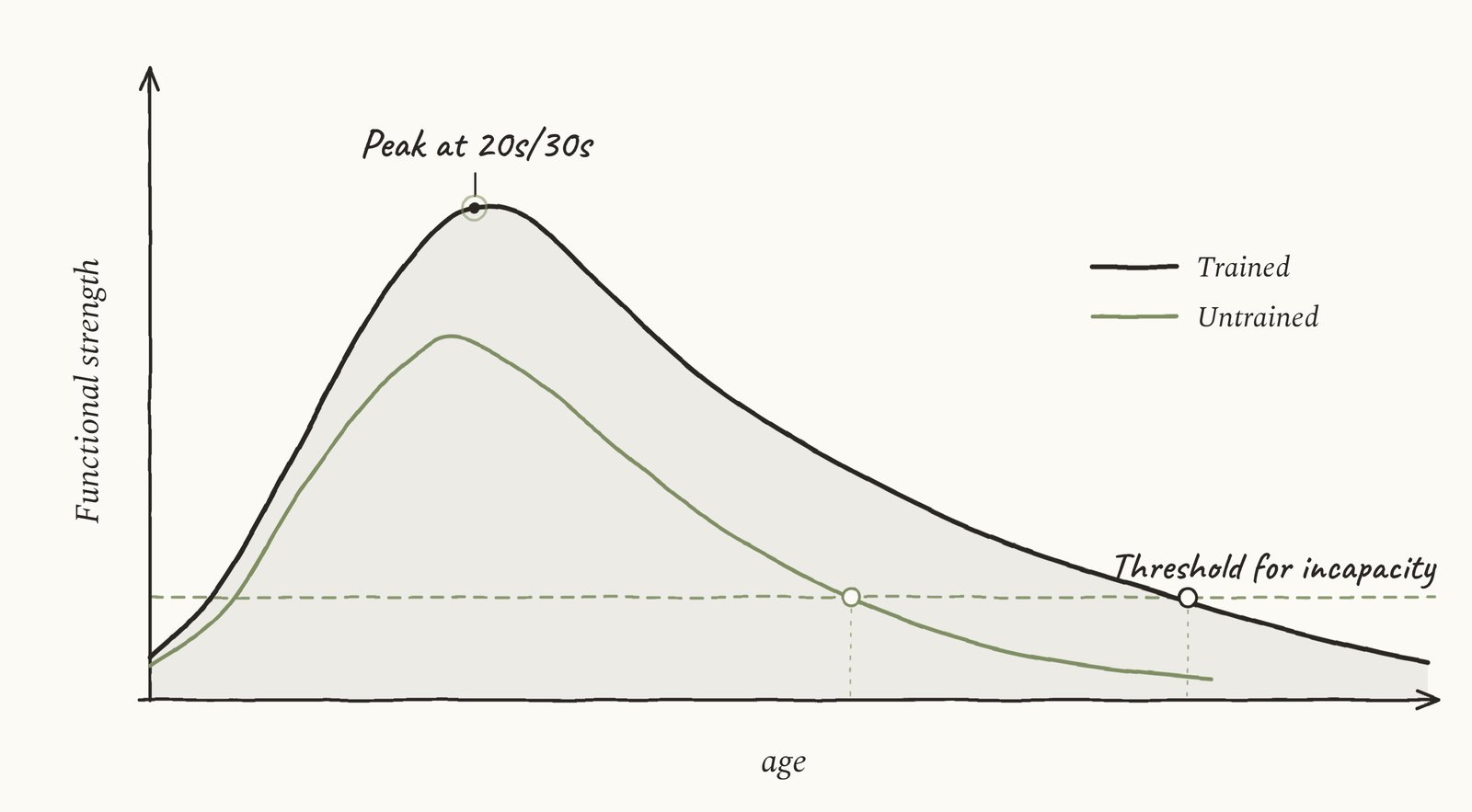 Graph showing trained and untrained functional strength over time